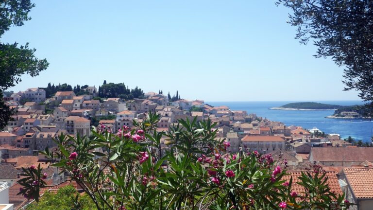 Hvar town and harbour viewed from the hillside