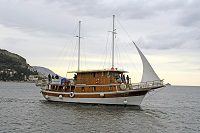MS Dalmatinka