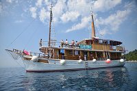 MS Delija