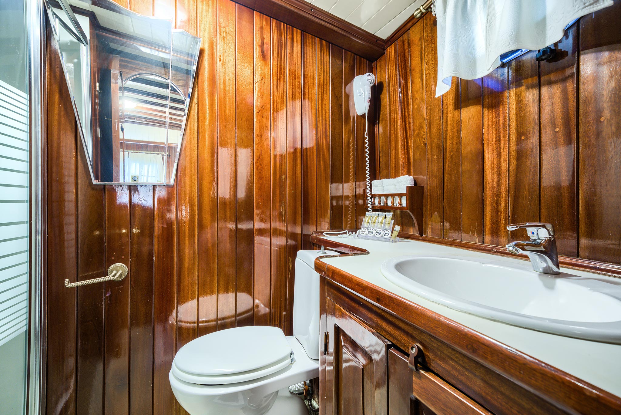 MS Erato cabin bathroom